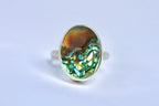 Abalone Ring 7