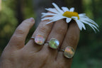 Abalone Ring