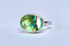 Abalone Ring 9