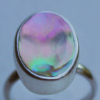 Abalone Ring 6