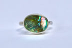 Abalone Ring 9