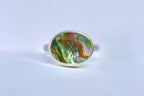 Abalone Ring 7