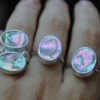 Abalone Ring 8