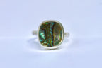 Abalone Ring 8
