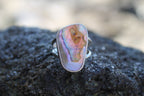 Abalone Ring