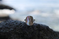 Abalone Ring